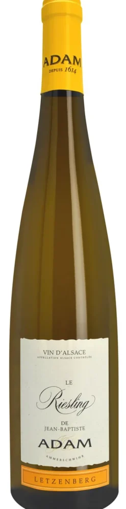 New Adam Riesling Letzenberg Bio