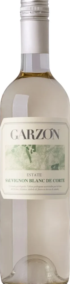 Hot Bodega Garzón Bodega Garzón Estate Sauvignon Blanc de Corte