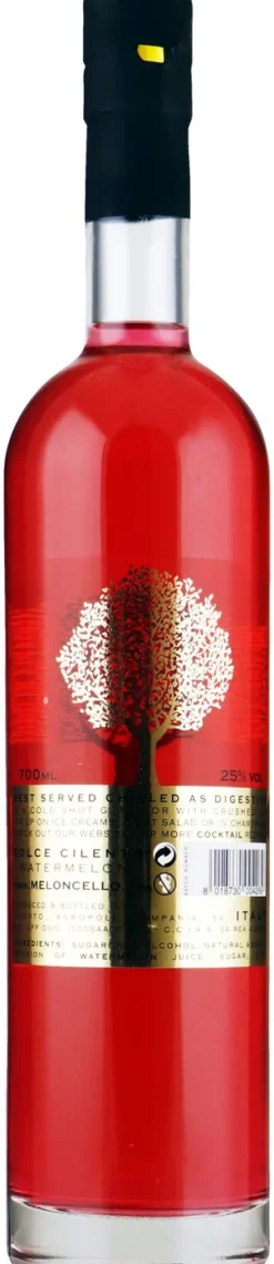 Outlet Passimoncello Dolce Cilento Watermeloncello