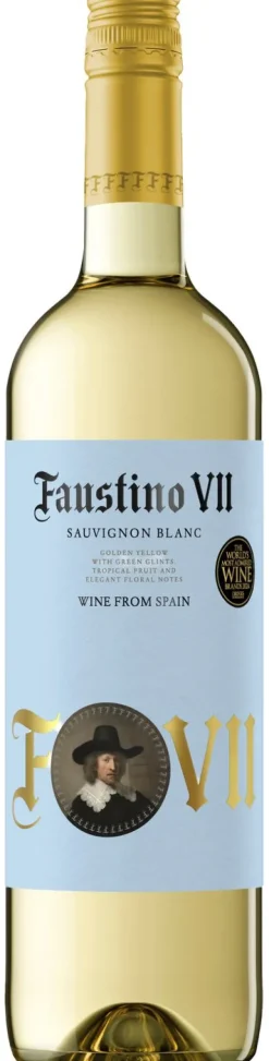 Outlet Faustino Sauvignon Blanc
