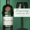 Best Tanqueray London Dry Gin Cadeaupakket met Coppa glas