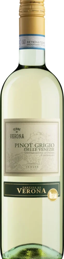 Outlet Lavis Terre di Verona Pinot Grigio