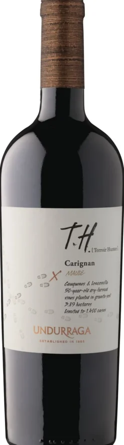 Clearance Viña Undurraga Undurraga T.H. Carignan Maule