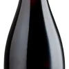 Best Viña Undurraga Undurraga T.H. Pinot Noir Leyda