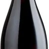 New Viña Undurraga Undurraga T.H. Syrah Cauquenes