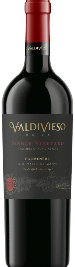 Best Valdivieso Single Vineyard Carmenère