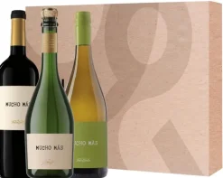 Online Gall & Gall Wijnbox Mucho Mas